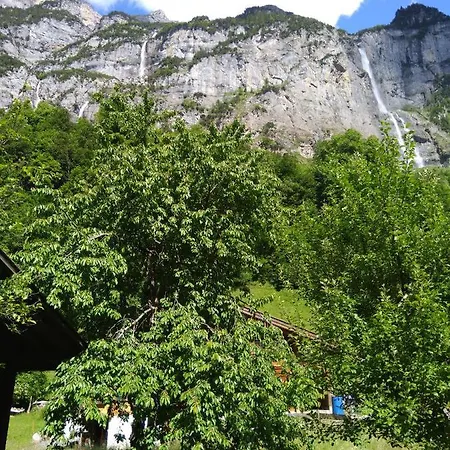 Ferien Flueehblueemli *