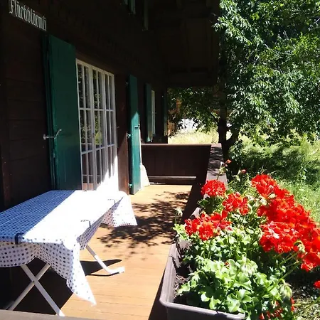 Ferien Flueehblueemli 木屋 *