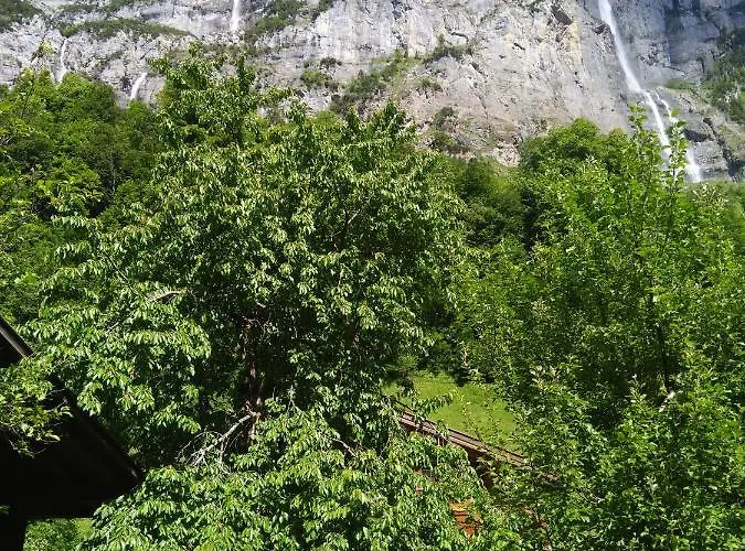 Ferien Flueehblueemli *