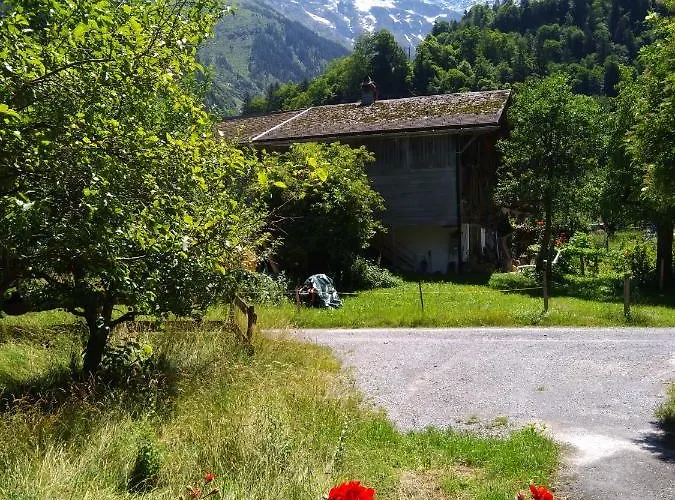 Ferien Flueehblueemli Stechelberg