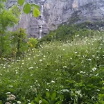 Alpehytte Ferien Flueehblueemli *