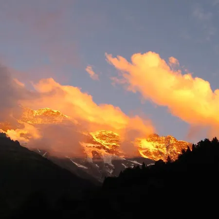 Ferien Flüehblüemli * Stechelberg