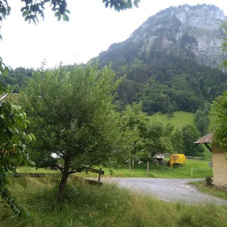 Ferien Flüehblüemli