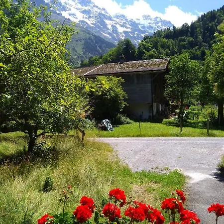 Ferien Flueehblueemli שטכלברג