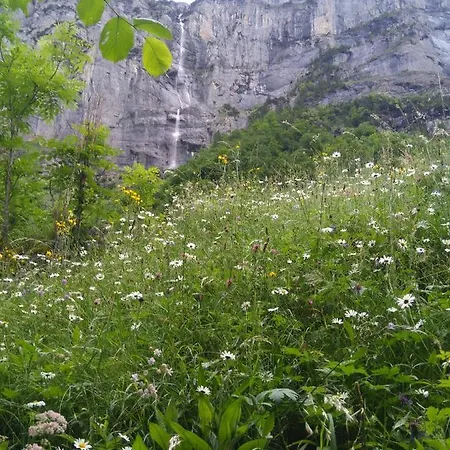 בקתה Ferien Flueehblueemli *