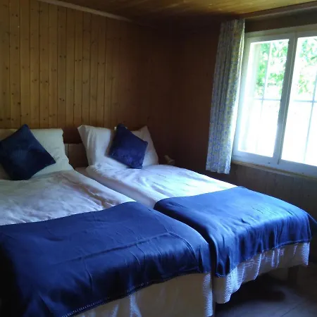 Ferien Flueehblueemli Chalé *